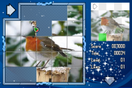 Screenshot of 'Puzzled - Christmas 2010'